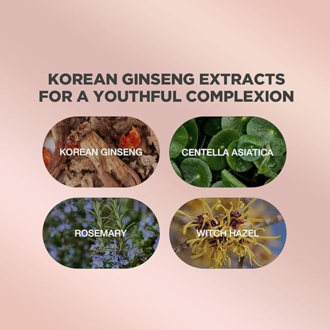 PROOT Ginseng Face Cream | Advanced Radiance Face Moisturizer With Korean Panax Ginseng | Korean Ginseng Face Cream with 54% Korean Ginseng Extracts | Use with Ginseng Serum for the Best Results