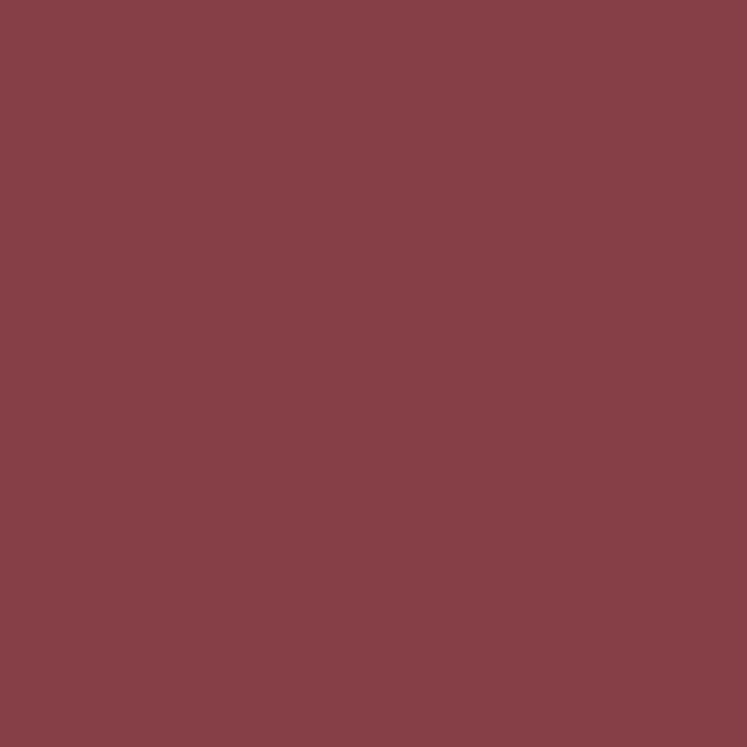 Mynena Maroon Brown Long-Lasting Matte Liquid Lipstick | Intense Color, Smudge-Proof & Waterproof | Comfortable, Hydrating Shea Butter | Vegan & Cruelty-Free | Erin