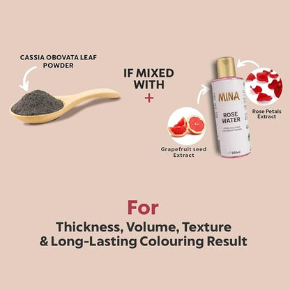MinaiBrow Tint Kit Light Brown