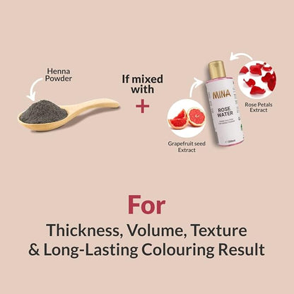 Mina ibrow Hair Color Light