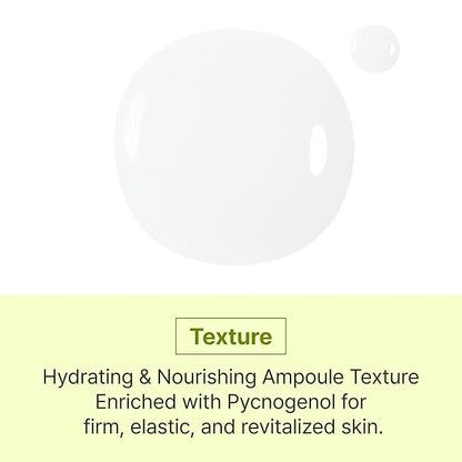 SCINIC Cicanoid Ampoule 3.38 fl oz (100ml) | Anti-Aging & Dark Spot Correcting Serum | Korean Skincare