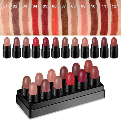evpct 12Pcs Capsule Pills Lipstick Mini Matte Lipstick Sets for Women labiales mate 24 horas originales Dark Brown Red Nude Small Candy Lipstick Samples Mini Set Lip Stick Pack Matte Makeup Kit