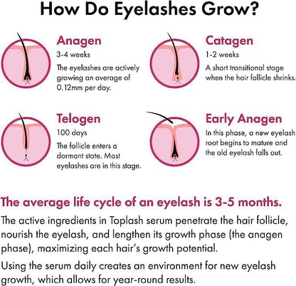 XL Lash and Brow Booster, Growth Serum with Eyelash and Eyebrow Enhancer, Promotes Stronger, Thicker, Healthier Lashes with Botanicals and Peptides