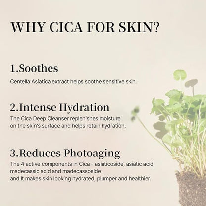 mixsoon Soondy Centella Asiatica Essence Instant Hydrating & Soothing Essence for Irritated, Sensitive Skin for Korean Skincare For Glass Skin-Jeju Island Cica Extracts (1.69 Fl. Oz(Pack of1))