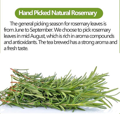 Premium Rosemary Tea Bags, 100 Teabags. Made with 100% Pure Natural Rosemary Leaves,No Additives & Caffeine Free.