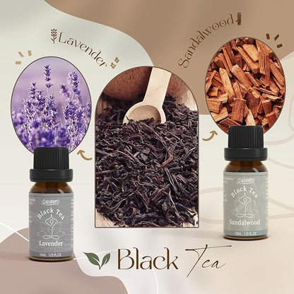 SALUBRITO Zen Fragrance Oil Set, Tea Essential Oil for Diffuser, Candle, Soap Making, White Tea, Black Tea, Green Tea Blended with Rose, Bamboo, Lavender, Sandalwood, Frankincense, Citrus Scented Oil