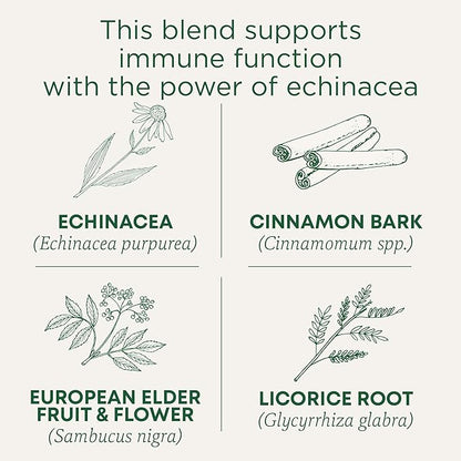 Traditional Medicinals Tea, Organic Immune Zoom Elderberry Echinacea, Supports Immune Function, 16 Tea Bags