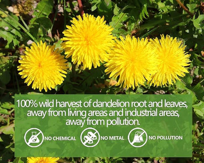 Premium Dandelion Leaf & Root Tea,50 Tea Bags /3.53Oz, for Liver & Kidney Health, Roasted Detox Herbal Tea. Support Digestion & Boost Immune System, Caffeine Free.