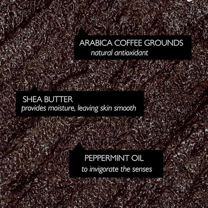 UpCircle Exfoliating Coffee Body Scrub with Peppermint 220ml - Sea Salt, Eucalyptus + Coconut Oil - Exfoliates Your Skin + Improves Circulation - Natural, Vegan Exfoliator For Soft, Smooth Skin