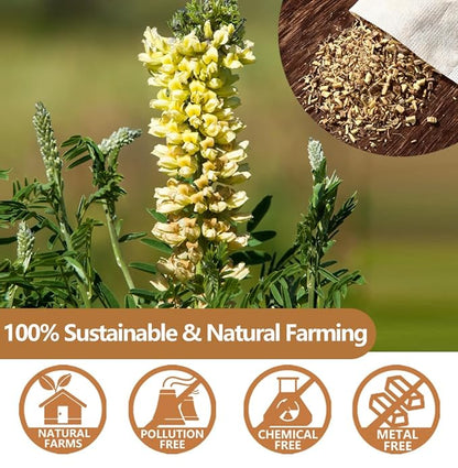 Premium 80 Licorice Root Tea Bags, Made with 100% High Sweetness Wild Licorice Root, No Additives & Caffeine Free.