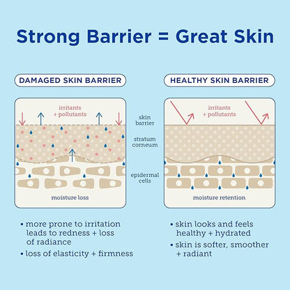 Skinfix Barrier+ Triple Lipid-Hyaluronate Serum: Hydrating Serum That Delivers a Surge of Moisture to Hydrate, Replenish & Nourish Skin, 1 Fl Oz