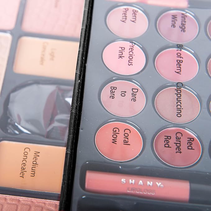 SHANY All In One Makeup Kit (Eyeshadow, Blushes,
