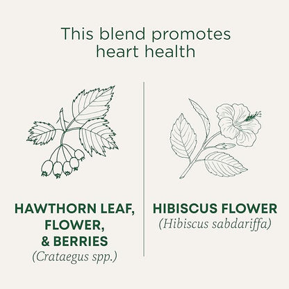 Traditional Medicinals Tea, Organic Hawthorn & Hibiscus, Promotes Heart Health, 96 Tea Bags (6 Pack)