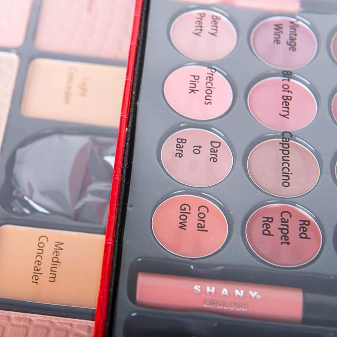 SHANY All In One Makeup Kit (Eyeshadow, Blushes,