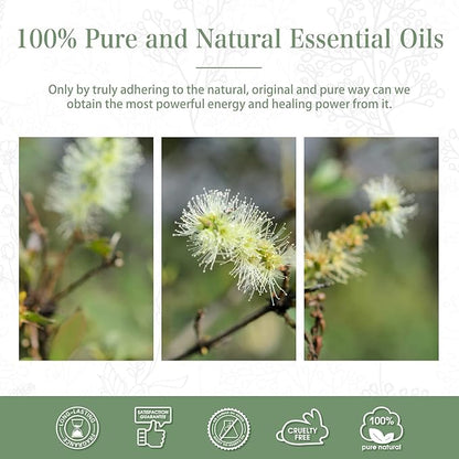 Cajeput 1.01fl.oz Essential Oil, PHATOIL Pure Aromatherapy Oils for Diffuser, Humidifier, Perfect for DIY Soap, Candle, Bath Bombs Making(30ml)
