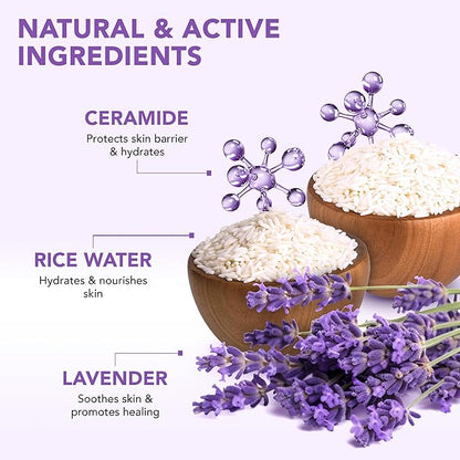 Botanic Hearth Dreamy Lavender Body Scrub 8.8 fl oz - Gently Exfoliates and Moisturizes Skin, Infused with Natural Lavender Oil and Essential Nutrients for Smooth and Radiant Skin