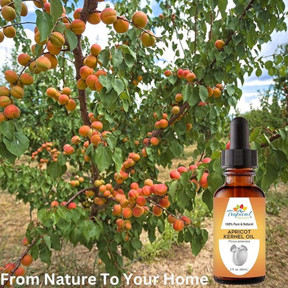100% Pure Organic Apricot Kernel Oil, 2 oz - Natural Cold-Pressed Apricot Seed Oil from Turkey - Ideal for Massage, Skincare, Hair, Body, Aromatherapy for Men & Women