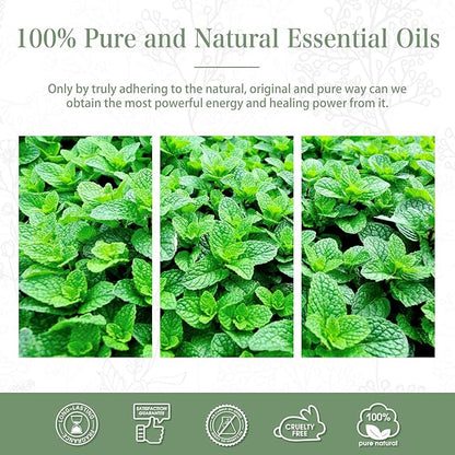 Spearmint 3.38fl.oz Essential Oil, PHATOIL Pure Aromatherapy Oils for Diffuser, Humidifier, Perfect for DIY Soap, Candle, Bath Bombs Making(100ml)