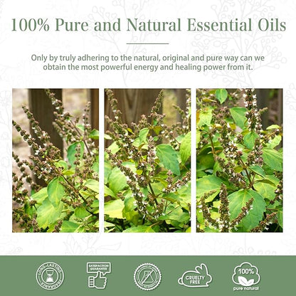 Patchouli 3.38fl.oz Essential Oil, PHATOIL Pure Aromatherapy Oils for Diffuser, Humidifier, Perfect for DIY Soap, Candle, Bath Bombs Making(100ml)