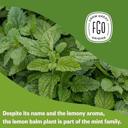 FGO Organic Lemon Balm Tea, 100 Count, Eco-Conscious Herbal Tea Bags, Resealable Bag, Caffeine Free, Packaging May Vary (Pack of 1)