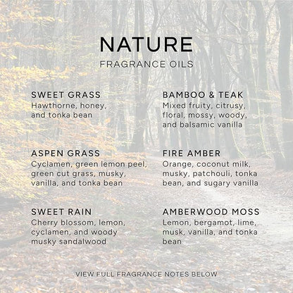 Eternal Essence Oils Nature Set of 6 Premium Fragrance Oils - Sweet Grass, Aspen Grass, Fire Amber, Sweet Rain, Bamboo & Teak and Amberwood - For Diffusers, Candle & Soap Making, & Aromatherapy - 10ML
