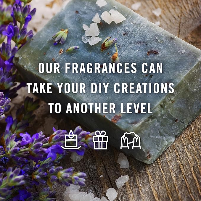 P&J Trading Polynesian Set of Fragrance Oil - Plumeria, Aloe, Pineapple, Bamboo, Gardenia, Coconut Candle Scents for Candle Making, Soap Making, Diffuser Oil Scents